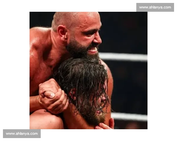 2025 雷亚紫雷:从宿敌到战友,这对 WWE 组合太好磕! 2025 雷亚紫雷:从宿敌到战友,这对 WWE 组合太好磕!