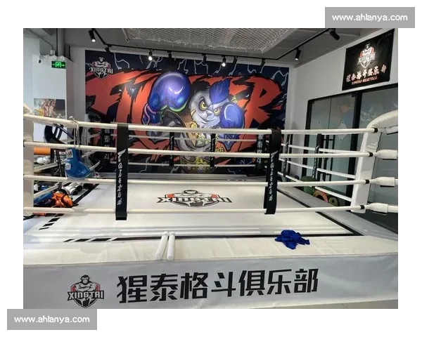 泰拳vs散打规则技法体能对抗与实战胜负全面解析风格差异核心对比