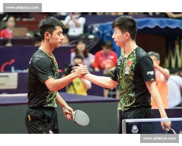 太阳强势对决天猫豪门碰撞引爆新赛季篮球联盟巅峰较量全场看点解析