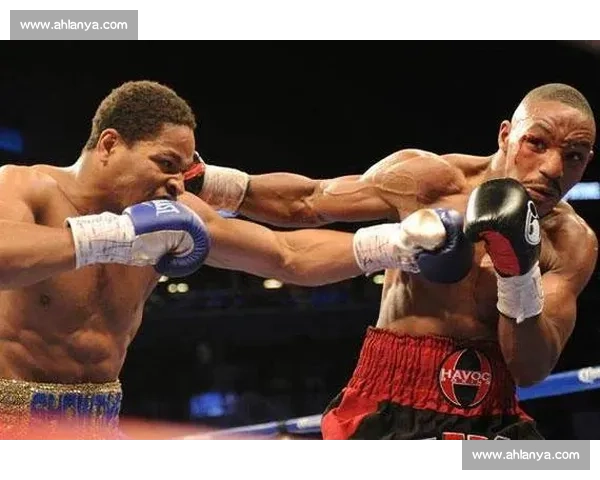 播求对决泰森跨界格斗巅峰之战引爆全球热议传奇拳王与泰拳王历史假想碰撞